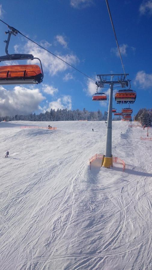 WILLA MAŁE ALPY 300 m OD 2 KOMPLEKSÓW NARCIARSKICH SŁOTWINY-ARENA Krynica-Zdrój Exterior foto