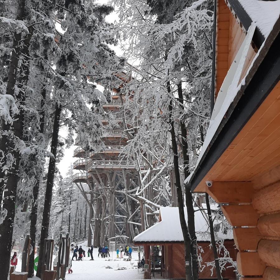 WILLA MAŁE ALPY 300 m OD 2 KOMPLEKSÓW NARCIARSKICH SŁOTWINY-ARENA Krynica-Zdrój Exterior foto