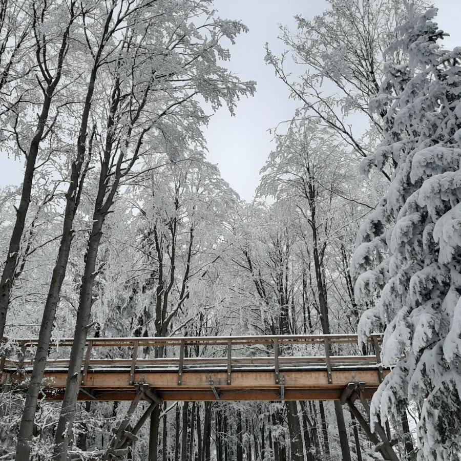 WILLA MAŁE ALPY 300 m OD 2 KOMPLEKSÓW NARCIARSKICH SŁOTWINY-ARENA Krynica-Zdrój Exterior foto