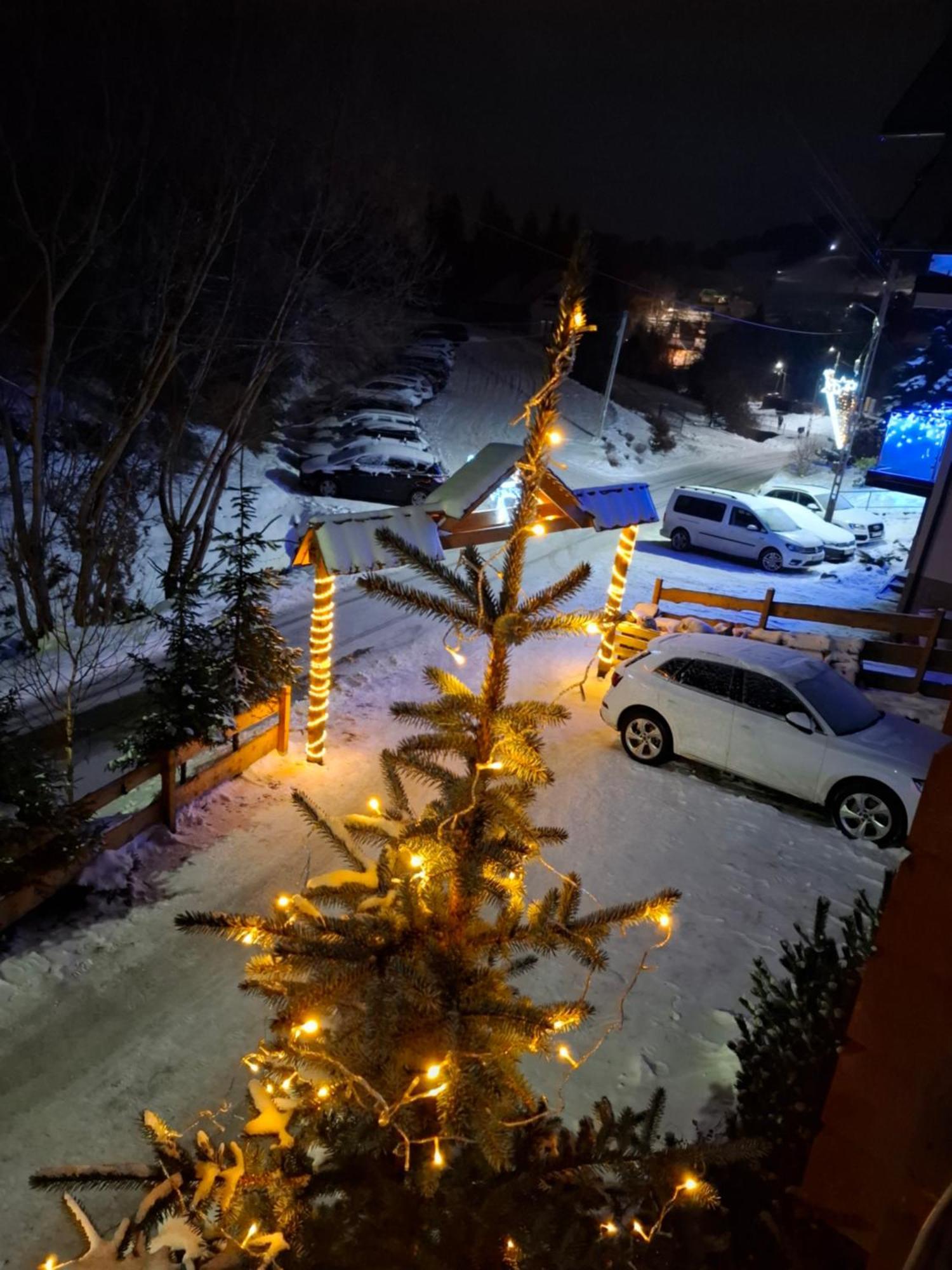 WILLA MAŁE ALPY 300 m OD 2 KOMPLEKSÓW NARCIARSKICH SŁOTWINY-ARENA Krynica-Zdrój Exterior foto