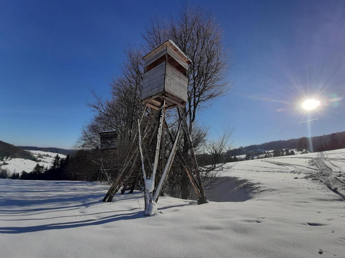 WILLA MAŁE ALPY 300 m OD 2 KOMPLEKSÓW NARCIARSKICH SŁOTWINY-ARENA Krynica-Zdrój Exterior foto