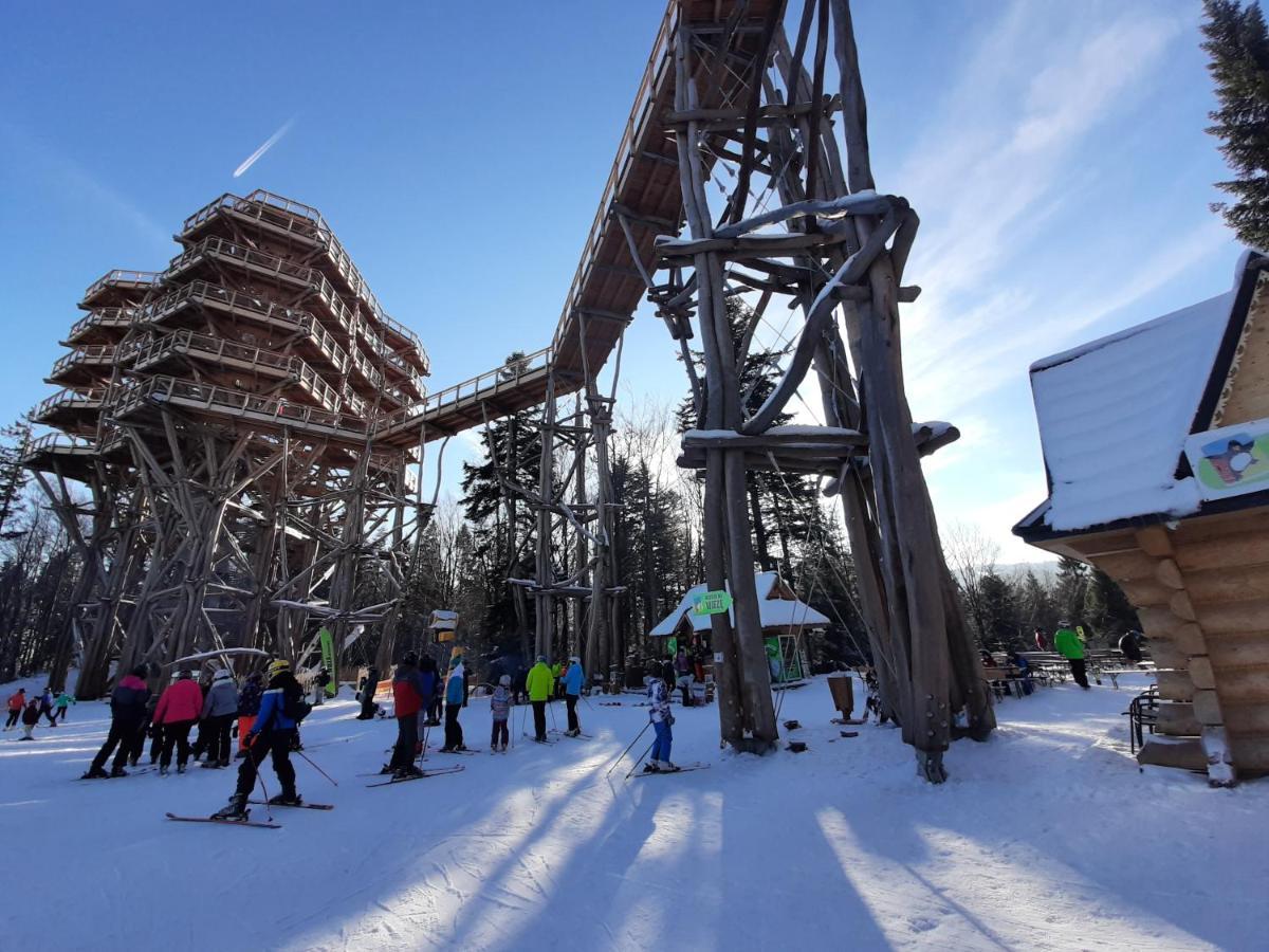 WILLA MAŁE ALPY 300 m OD 2 KOMPLEKSÓW NARCIARSKICH SŁOTWINY-ARENA Krynica-Zdrój Exterior foto